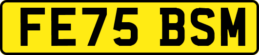 FE75BSM