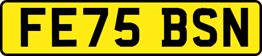 FE75BSN