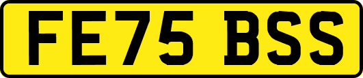 FE75BSS
