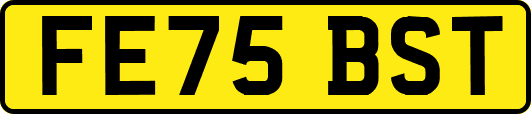 FE75BST