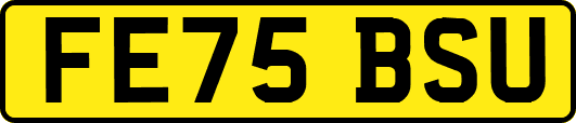 FE75BSU