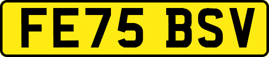 FE75BSV