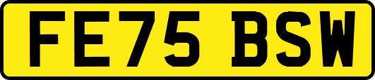 FE75BSW