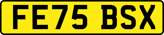 FE75BSX