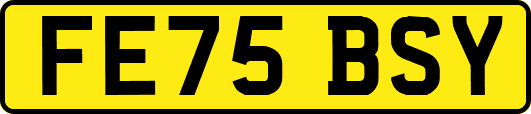 FE75BSY