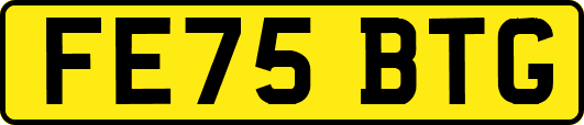 FE75BTG
