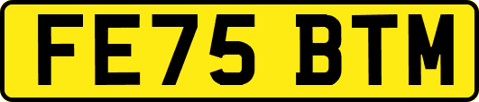FE75BTM