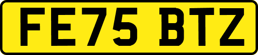 FE75BTZ