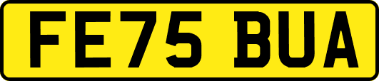FE75BUA