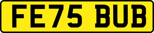 FE75BUB