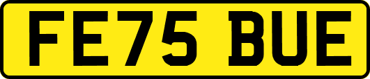 FE75BUE