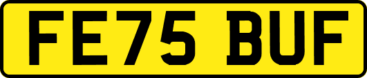 FE75BUF