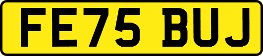 FE75BUJ