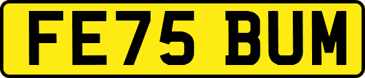 FE75BUM