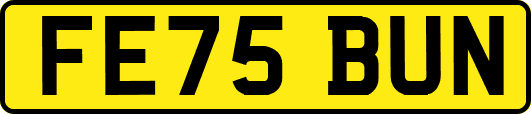FE75BUN