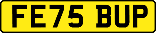FE75BUP