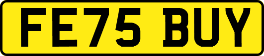 FE75BUY