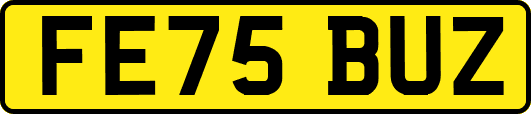 FE75BUZ