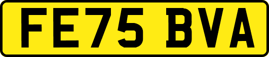 FE75BVA