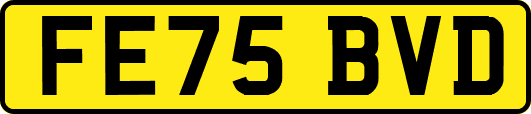 FE75BVD