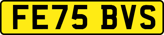 FE75BVS