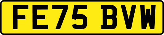 FE75BVW