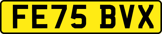 FE75BVX