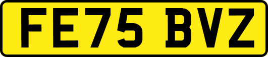 FE75BVZ