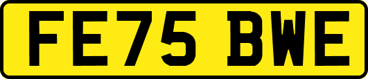 FE75BWE