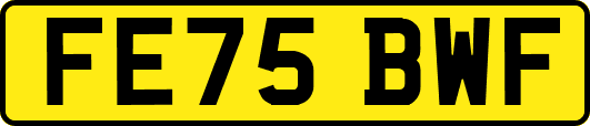 FE75BWF