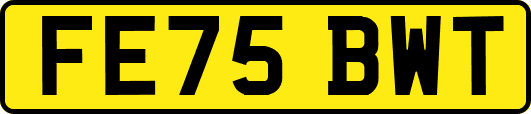 FE75BWT