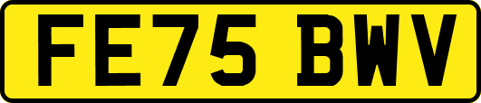 FE75BWV