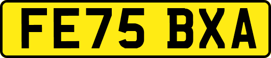 FE75BXA