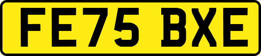 FE75BXE