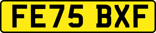 FE75BXF