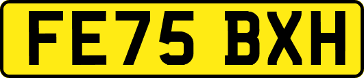 FE75BXH