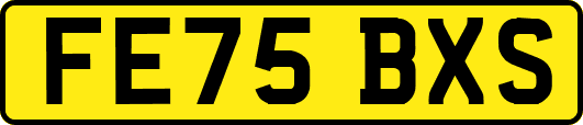 FE75BXS