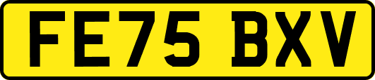 FE75BXV