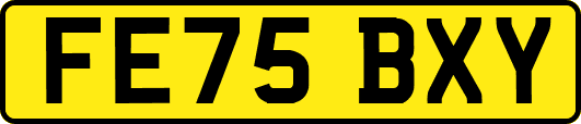 FE75BXY