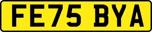 FE75BYA