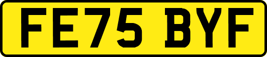FE75BYF