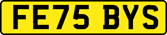FE75BYS