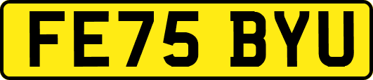 FE75BYU
