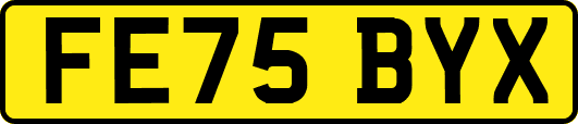 FE75BYX