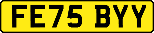 FE75BYY