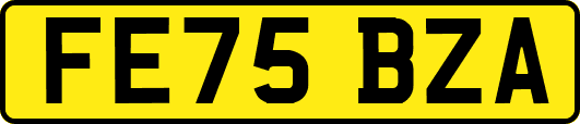 FE75BZA