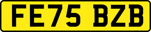 FE75BZB