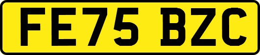 FE75BZC