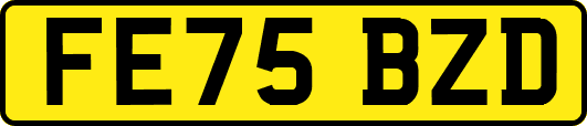 FE75BZD