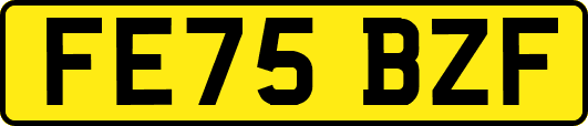 FE75BZF